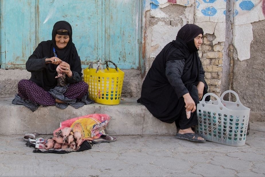 بازار محلی فروش پرندگان در زابل، عکس: عطا رنجبر، ایرنا©